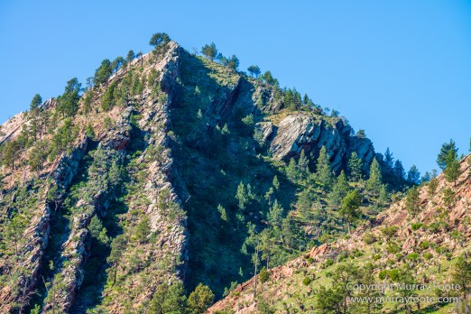 Architecture, Australia, Cazneau Tree, Flinders Ranges, Central Bearded dragon, Landscape, Macro, Merna Mora Station, Nature, Photography, South Australia, Travel, Wilderness, Wildlife, Yellow-footed rock-wallaby