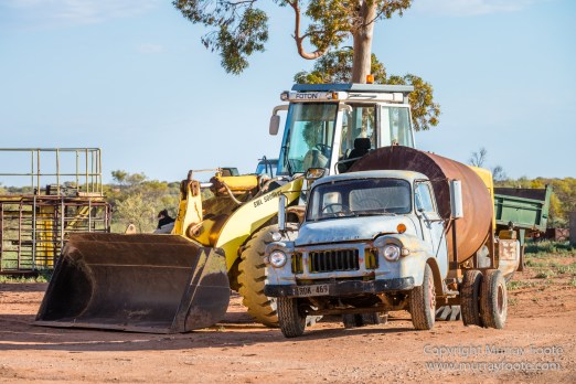 Architecture, Australia, Flinders Ranges, Landscape, Macro, Merna Mora Station, Moralana Track, Nature, Nilpena Station, Photography, South Australia, Tawny frogmouth, Travel, Wilderness, Wildlife