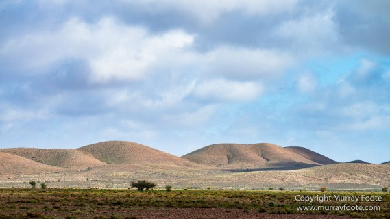Architecture, Australia, Flinders Ranges, Landscape, Macro, Merna Mora Station, Moralana Track, Nature, Nilpena Station, Photography, South Australia, Tawny frogmouth, Travel, Wilderness, Wildlife