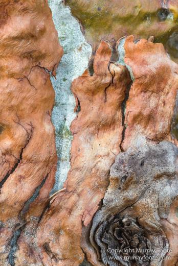 Architecture, Australia, Flinders Ranges, Landscape, Macro, Merna Mora Station, Moralana Track, Nature, Nilpena Station, Photography, South Australia, Tawny frogmouth, Travel, Wilderness, Wildlife