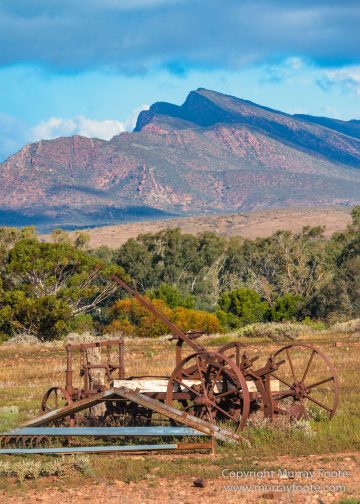 Australia, Flinders Ranges, Landscape, Macro, Merna Mora Station, Nature, Photography, South Australia, Travel, Wreck