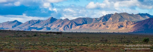 Australia, Flinders Ranges, Landscape, Macro, Merna Mora Station, Nature, Photography, South Australia, Travel, Wreck