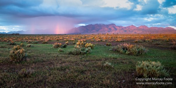 Australia, Flinders Ranges, Landscape, Macro, Merna Mora Station, Nature, Photography, South Australia, Travel, Wreck