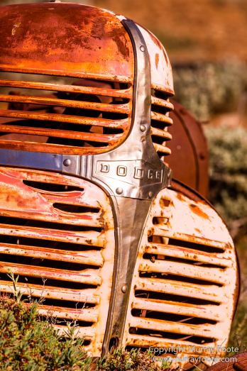Australia, Flinders Ranges, Landscape, Macro, Merna Mora Station, Nature, Photography, South Australia, Travel, Wreck