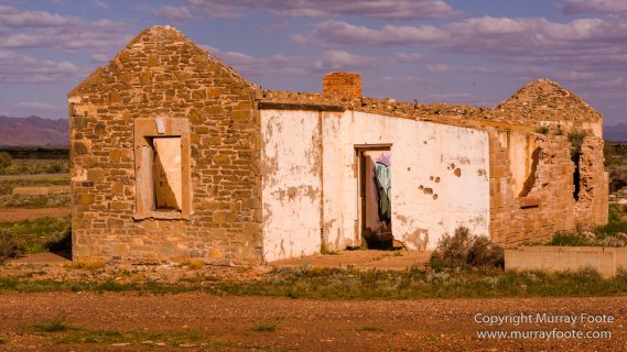 Architecture, Australia, Flinders Ranges, Landscape, Macro, Merna Mora Station, Moralana Track, Nature, Nilpena Station, Photography, South Australia, Tawny frogmouth, Travel, Wilderness, Wildlife