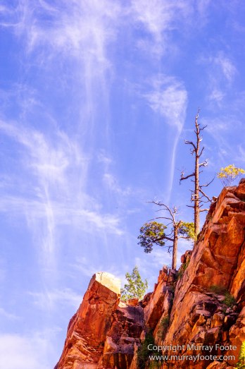 Australia, Brachina Gorge, Flinders Ranges, Landscape, Merna Mora Station, Nature, Photography, South Australia, Travel, Wilderness, Wildlife, Yellow-footed rock-wallaby