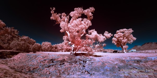 Architecture, Australia, Brachina Gorge, Cazneau Tree, Flinders Ranges, Infrared, Landscape, Merna Mora Station, Nature, Photography, South Australia, Travel, Wildlife