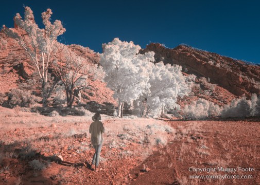 Architecture, Australia, Brachina Gorge, Cazneau Tree, Flinders Ranges, Infrared, Landscape, Merna Mora Station, Nature, Photography, South Australia, Travel, Wildlife