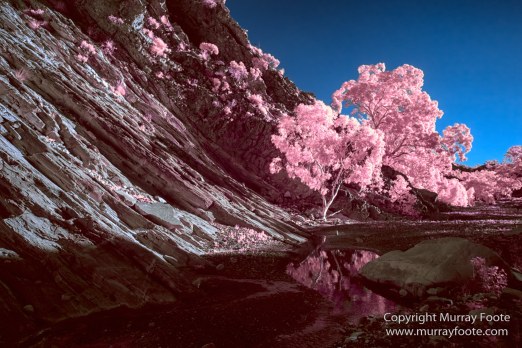 Architecture, Australia, Brachina Gorge, Cazneau Tree, Flinders Ranges, Infrared, Landscape, Merna Mora Station, Nature, Photography, South Australia, Travel, Wildlife