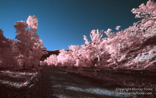 Architecture, Australia, Brachina Gorge, Cazneau Tree, Flinders Ranges, Infrared, Landscape, Merna Mora Station, Nature, Photography, South Australia, Travel, Wildlife