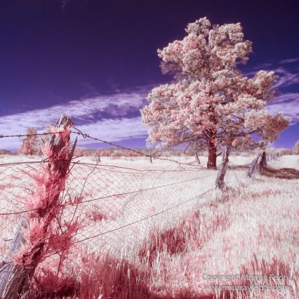 Architecture, Australia, Flinders Ranges, Infrared, Landscape, Merna Mora Station, Nature, Nilpena Station, Parachilna, Photography, Ruins, South Australia, Travel
