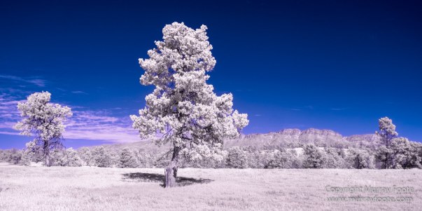 Architecture, Australia, Flinders Ranges, Infrared, Landscape, Merna Mora Station, Nature, Nilpena Station, Parachilna, Photography, Ruins, South Australia, Travel