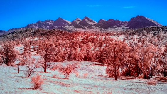 Architecture, Australia, Flinders Ranges, Infrared, Landscape, Merna Mora Station, Nature, Nilpena Station, Parachilna, Photography, Ruins, South Australia, Travel