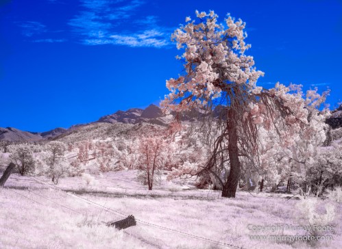 Architecture, Australia, Flinders Ranges, Infrared, Landscape, Merna Mora Station, Nature, Nilpena Station, Parachilna, Photography, Ruins, South Australia, Travel