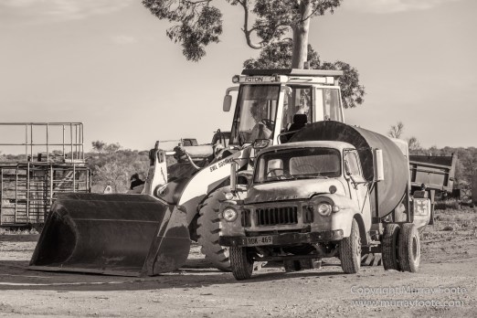 Architecture, Australia, Black and White, Flinders Ranges, Landscape, Monochrome, Nature, Photography, South Australia, Travel, Wilderness, Wildlife