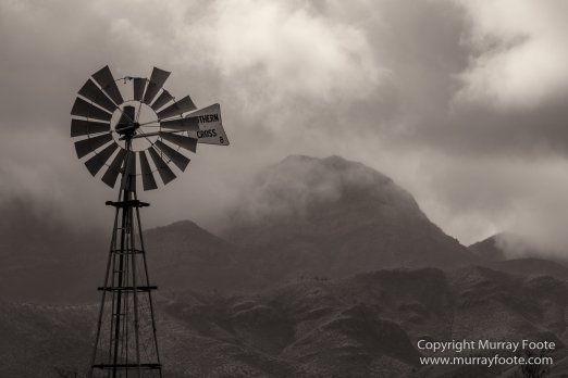Architecture, Australia, Black and White, Flinders Ranges, Landscape, Monochrome, Nature, Photography, South Australia, Travel, Wilderness, Wildlife