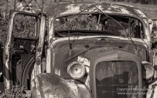Architecture, Australia, Black and White, Flinders Ranges, Landscape, Monochrome, Nature, Photography, South Australia, Travel, Wilderness, Wildlife
