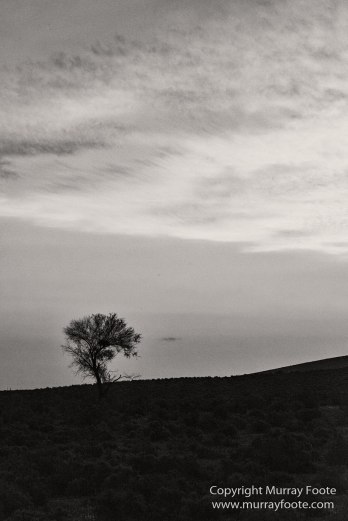 Architecture, Australia, Black and White, Flinders Ranges, Landscape, Monochrome, Nature, Photography, South Australia, Travel, Wilderness, Wildlife