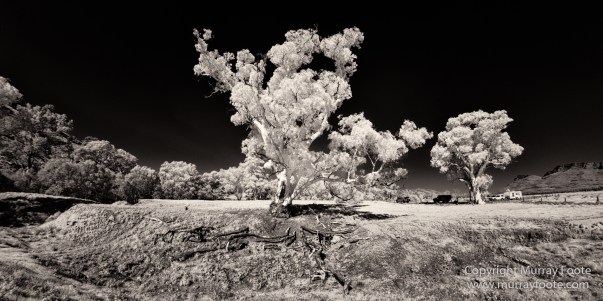 Architecture, Australia, Black and White, Flinders Ranges, Infrared, Landscape, Monochrome, Nature, Photography, South Australia, Travel, Wilderness, Wildlife