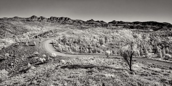 Architecture, Australia, Black and White, Flinders Ranges, Infrared, Landscape, Monochrome, Nature, Photography, South Australia, Travel, Wilderness, Wildlife