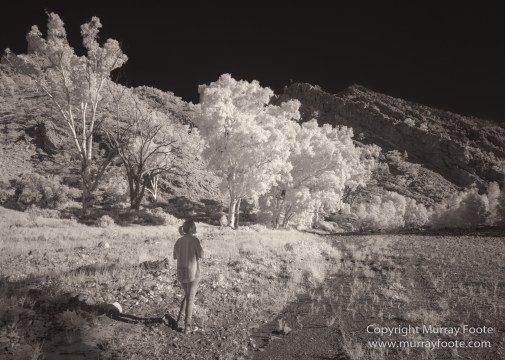 Architecture, Australia, Black and White, Flinders Ranges, Infrared, Landscape, Monochrome, Nature, Photography, South Australia, Travel, Wilderness, Wildlife