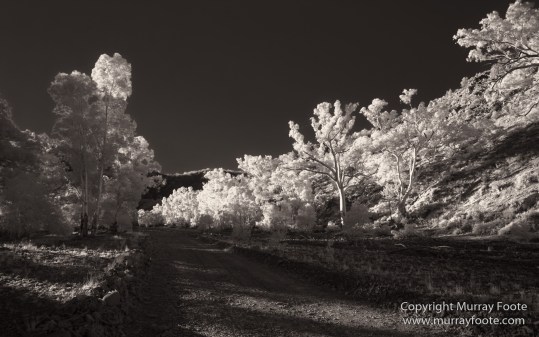 Architecture, Australia, Black and White, Flinders Ranges, Infrared, Landscape, Monochrome, Nature, Photography, South Australia, Travel, Wilderness, Wildlife