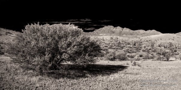 Architecture, Australia, Black and White, Flinders Ranges, Infrared, Landscape, Monochrome, Nature, Photography, South Australia, Travel, Wilderness, Wildlife
