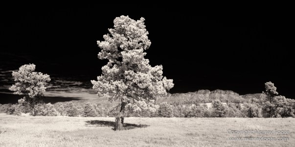 Architecture, Australia, Black and White, Flinders Ranges, Infrared, Landscape, Monochrome, Nature, Photography, South Australia, Travel, Wilderness, Wildlife