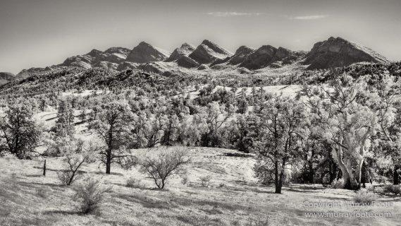 Architecture, Australia, Black and White, Flinders Ranges, Infrared, Landscape, Monochrome, Nature, Photography, South Australia, Travel, Wilderness, Wildlife