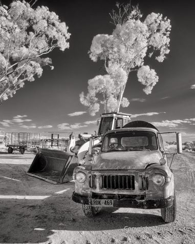 Architecture, Australia, Black and White, Flinders Ranges, Infrared, Landscape, Monochrome, Nature, Photography, South Australia, Travel, Wilderness, Wildlife