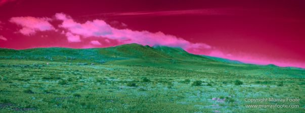 Australia, Flinders Ranges, Infrared, Landscape, Merna Mora Station, Nature, Parachilna, Photography, South Australia, Travel