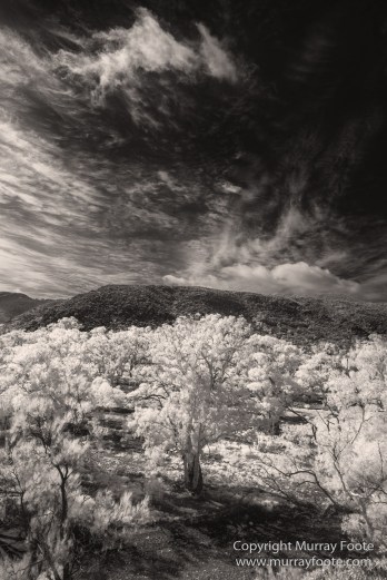 Architecture, Australia, Black and White, Flinders Ranges, Infrared, Landscape, Monochrome, Nature, Photography, South Australia, Travel, Wilderness, Wildlife