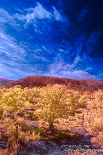 Australia, Flinders Ranges, Infrared, Landscape, Merna Mora Station, Nature, Parachilna, Photography, South Australia, Travel
