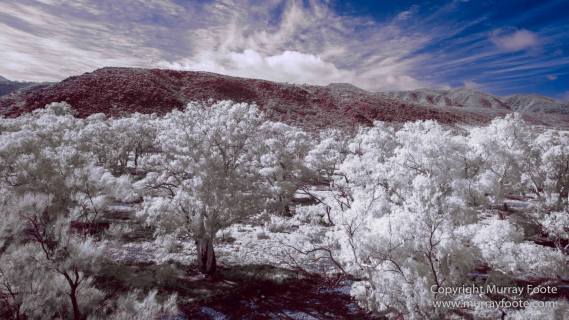 Australia, Flinders Ranges, Infrared, Landscape, Merna Mora Station, Nature, Parachilna, Photography, South Australia, Travel