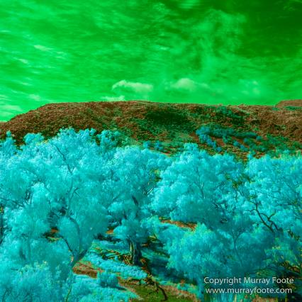 Australia, Flinders Ranges, Infrared, Landscape, Merna Mora Station, Nature, Parachilna, Photography, South Australia, Travel