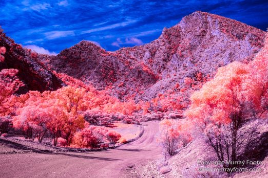 Australia, Flinders Ranges, Infrared, Landscape, Merna Mora Station, Nature, Parachilna, Photography, South Australia, Travel