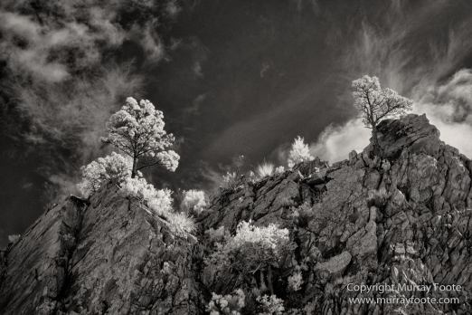 Architecture, Australia, Black and White, Flinders Ranges, Infrared, Landscape, Monochrome, Nature, Photography, South Australia, Travel, Wilderness, Wildlife