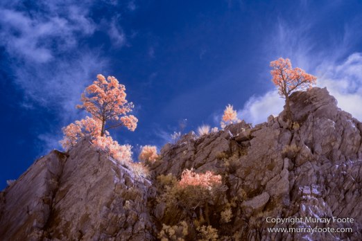 Australia, Flinders Ranges, Infrared, Landscape, Merna Mora Station, Nature, Parachilna, Photography, South Australia, Travel