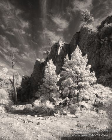 Architecture, Australia, Black and White, Flinders Ranges, Infrared, Landscape, Monochrome, Nature, Photography, South Australia, Travel, Wilderness, Wildlife
