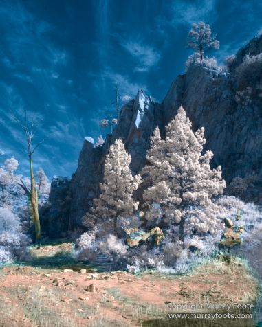 Australia, Flinders Ranges, Infrared, Landscape, Merna Mora Station, Nature, Parachilna, Photography, South Australia, Travel