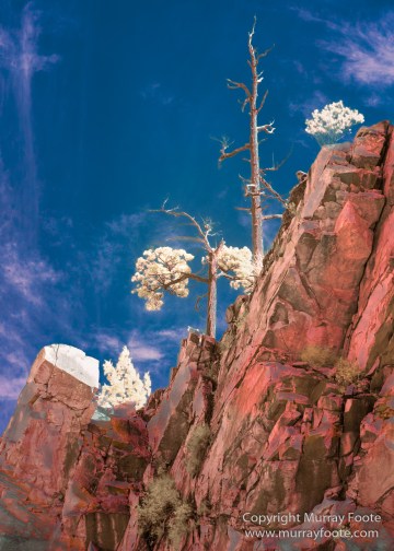 Australia, Flinders Ranges, Infrared, Landscape, Merna Mora Station, Nature, Parachilna, Photography, South Australia, Travel