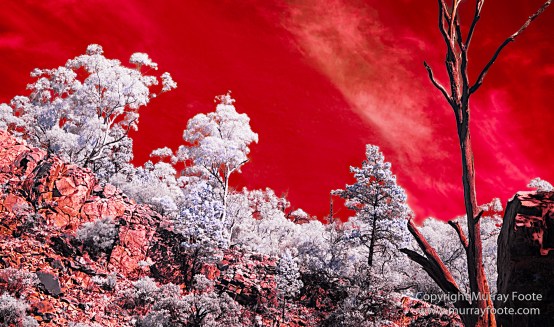 Australia, Flinders Ranges, Infrared, Landscape, Merna Mora Station, Nature, Parachilna, Photography, South Australia, Travel