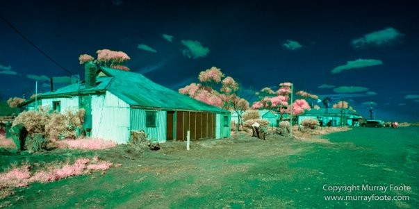 Australia, Flinders Ranges, Infrared, Landscape, Merna Mora Station, Nature, Parachilna, Photography, South Australia, Travel