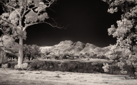 Architecture, Australia, Black and White, Flinders Ranges, Infrared, Landscape, Monochrome, Nature, Photography, South Australia, Travel, Wilderness, Wildlife