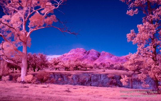 Australia, Flinders Ranges, Infrared, Landscape, Merna Mora Station, Nature, Photography, South Australia, Travel