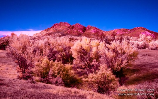 Australia, Flinders Ranges, Infrared, Landscape, Merna Mora Station, Nature, Photography, South Australia, Travel