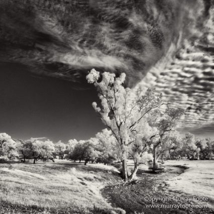 Architecture, Australia, Black and White, Flinders Ranges, Infrared, Landscape, Monochrome, Nature, Photography, South Australia, Travel, Wilderness, Wildlife