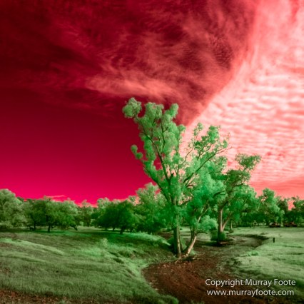 Australia, Flinders Ranges, Infrared, Landscape, Merna Mora Station, Nature, Photography, South Australia, Travel