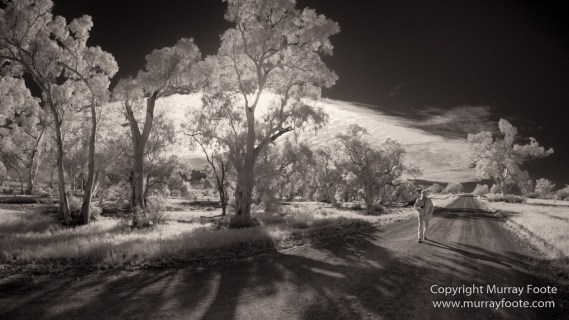 Architecture, Australia, Black and White, Flinders Ranges, Infrared, Landscape, Monochrome, Nature, Photography, South Australia, Travel, Wilderness, Wildlife