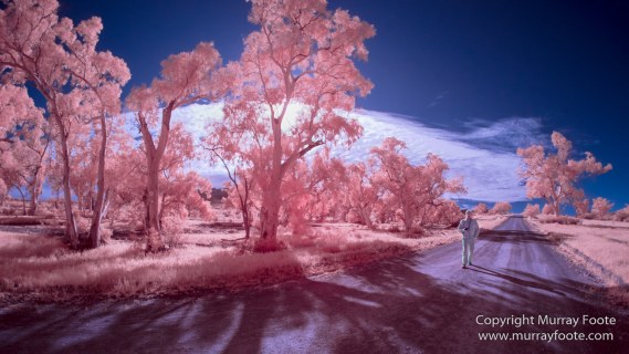 Australia, Flinders Ranges, Infrared, Landscape, Merna Mora Station, Nature, Photography, South Australia, Travel